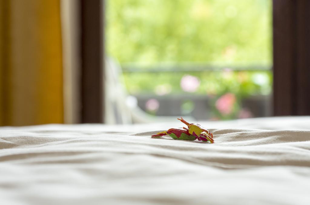 Gasthof & Landhotel Ohrnbachtal Weilbach Zewnętrze zdjęcie