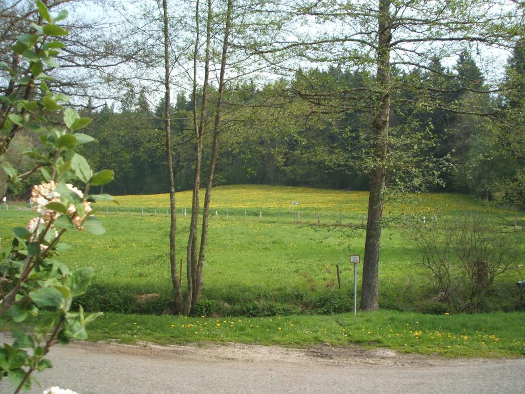 Gasthof & Landhotel Ohrnbachtal Weilbach Zewnętrze zdjęcie