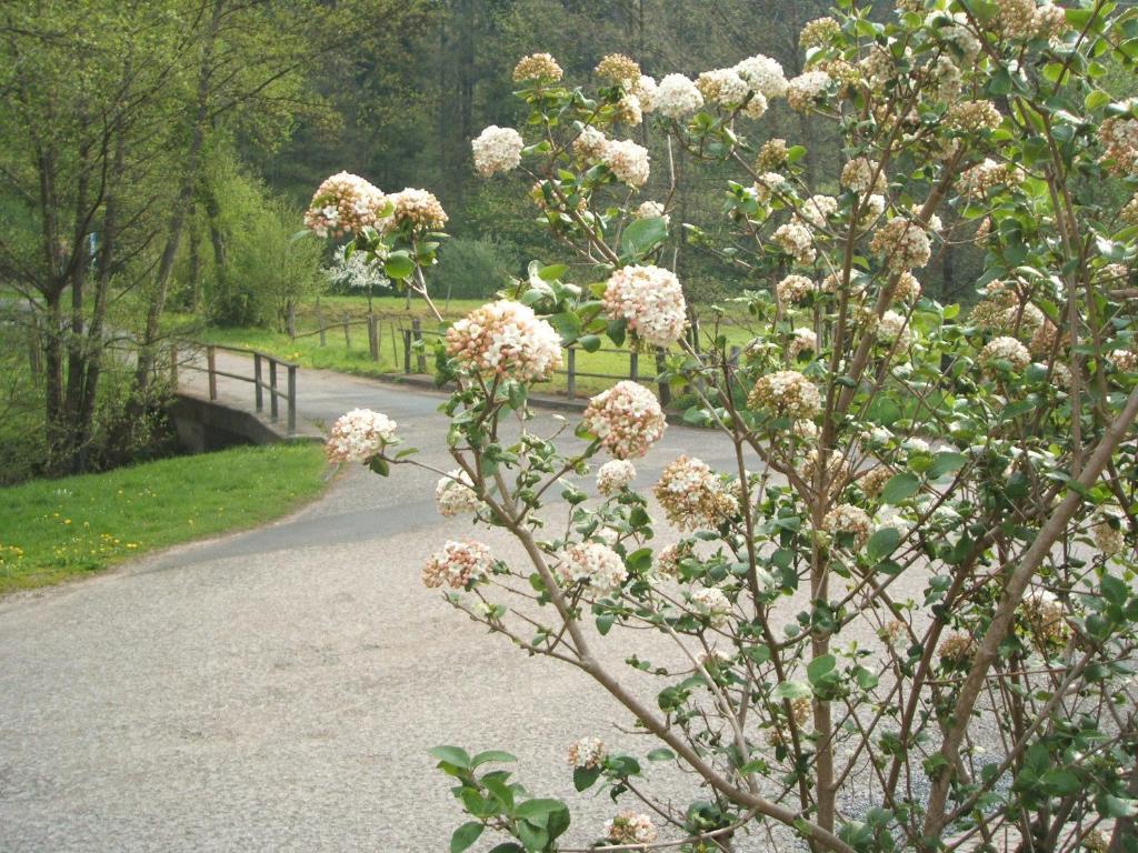 Gasthof & Landhotel Ohrnbachtal Weilbach Zewnętrze zdjęcie